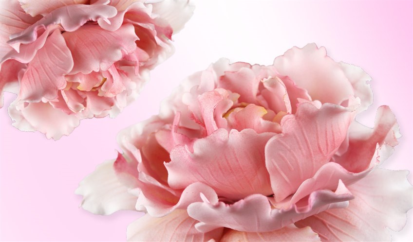 How to Make a Sugar Flower Peony