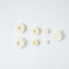JEM Bloem Snijders - Chrysant Madeliefjes & Blad - Set van 7