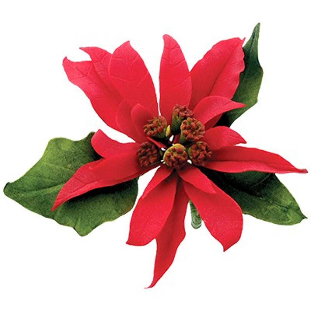 Poinsettia Cutter Set Of 10