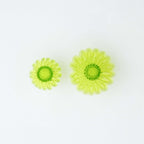 Embossed Daisy Cutters