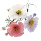 Cosmos and Calyx Set of 2