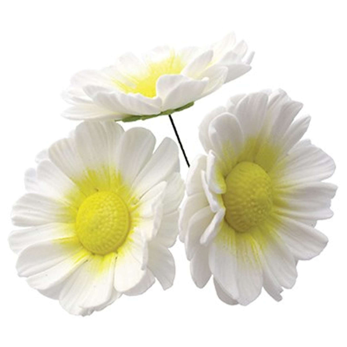Eight Petal Daisy 50mm