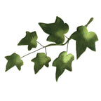 Small Ivy Cutters Set Of 4