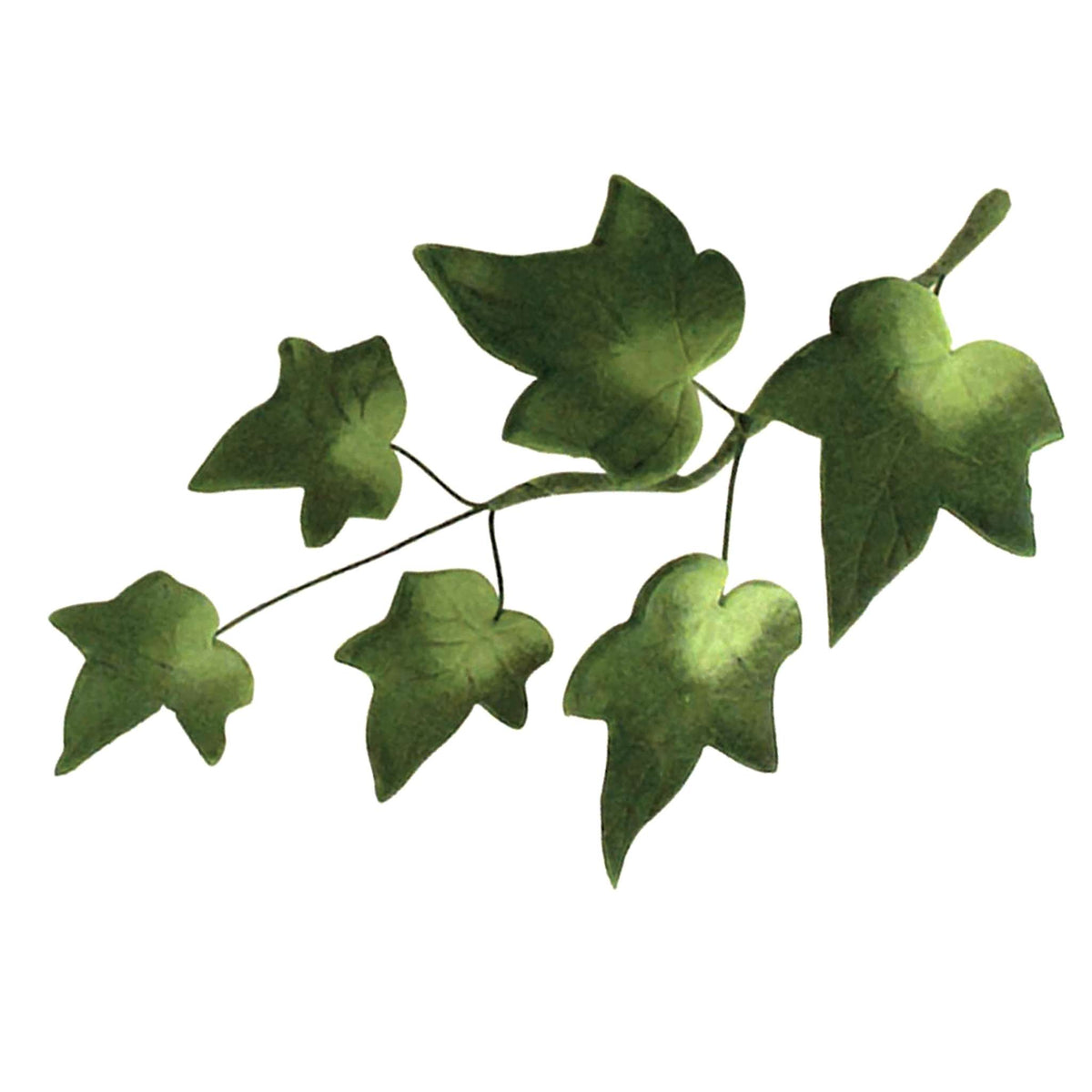 Small Ivy Cutters Set Of 4