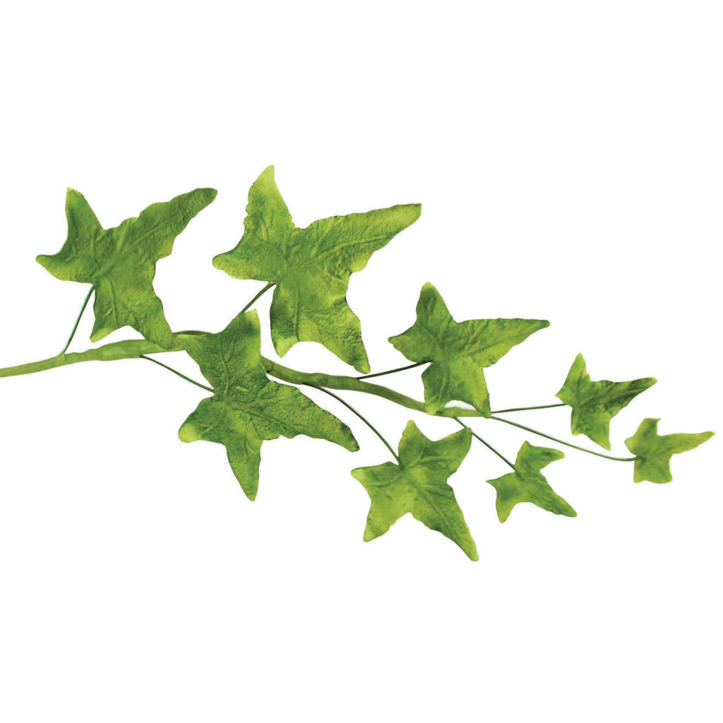 JEM Blad Snijders - Puntige Klimop - Set van 4