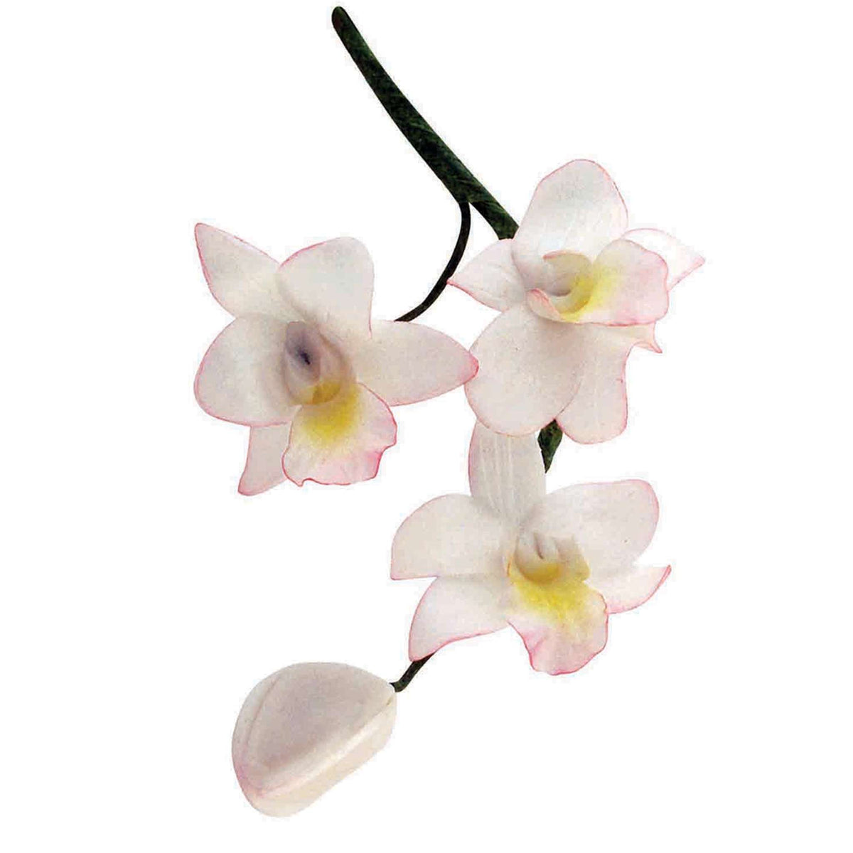 Small Singapore Orchid Cutter (Set Of 3)