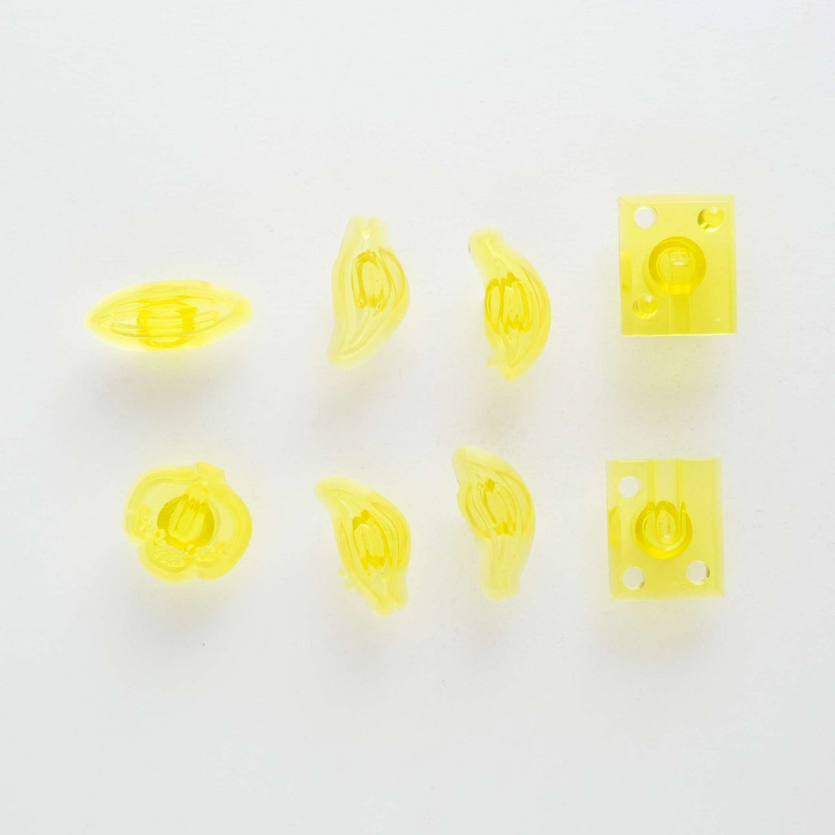 Small Cymbidium Orchid Cutter (Set Of 8)