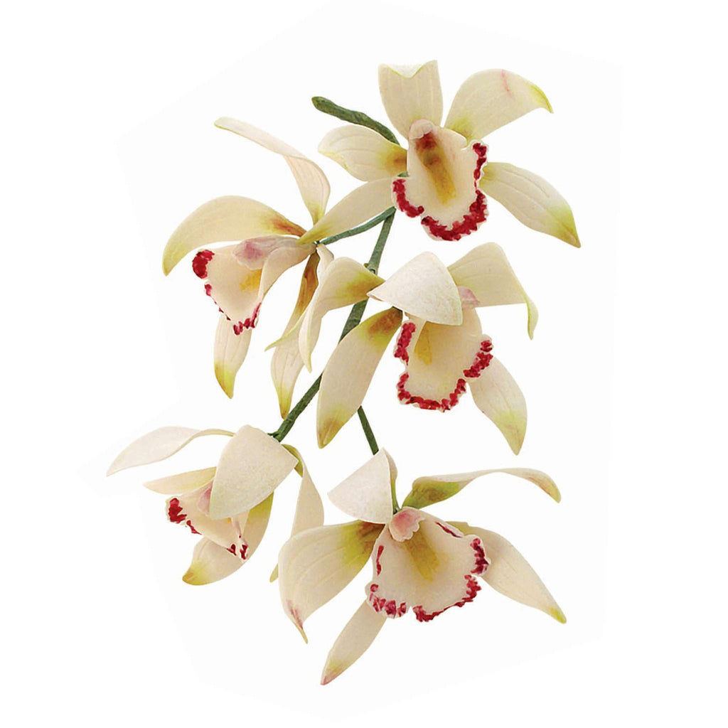 JEM Emporte-pièces Orchidée Cymbidium Moyenne, Ensemble de 8
