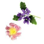 Pansy And Violet Cutters Set Of 4