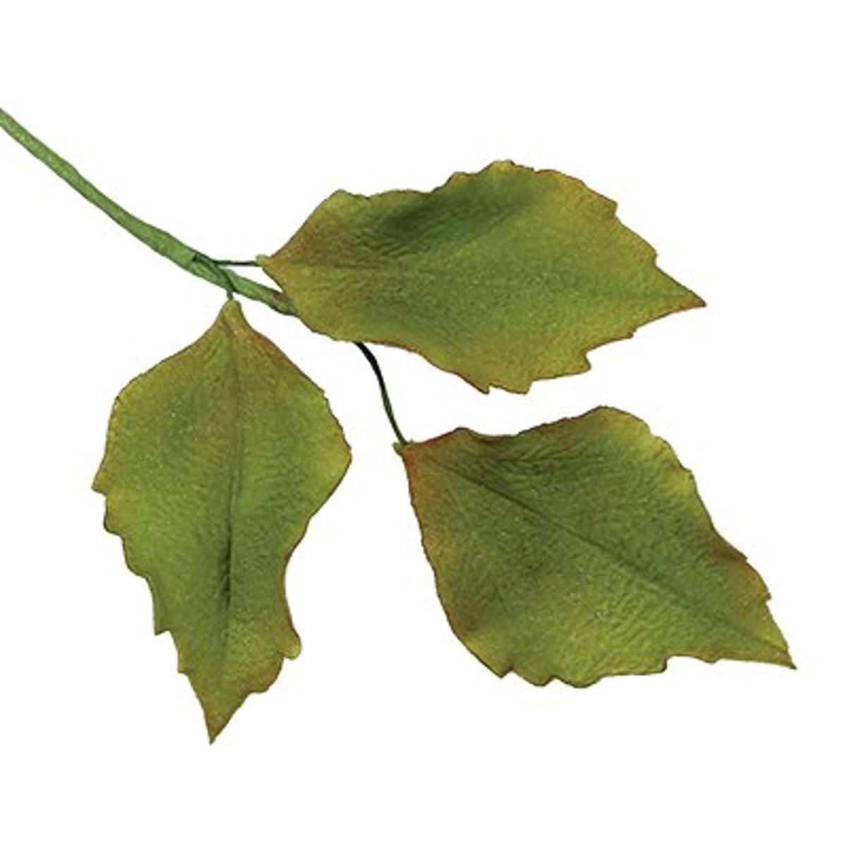 Mixed Leaves Cutters Set 2 (Set Of 7)