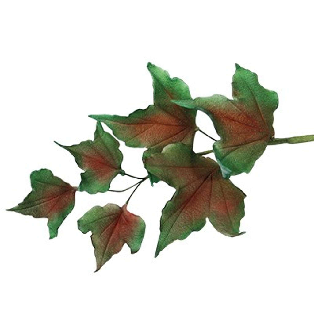 JEM Emporte-pièces Feuilles Mixtes - Set 2, 7 pièces