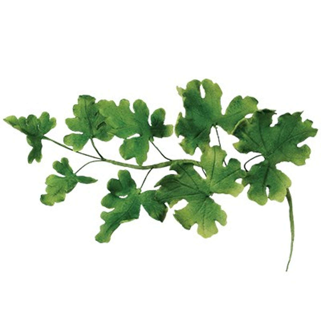 JEM Emporte-pièces Feuilles Mixtes - Set 2, 7 pièces