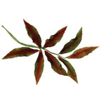 JEM Emporte-pièces Feuilles Mixtes - Set 2, 7 pièces