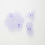 JEM Bordüren Ausstecher - Brombeerrose Cutwork Stickerei Set von 3