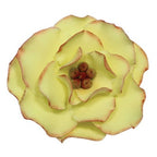 Ensemble de 4 emporte-pièces en acier inoxydable - Pétales de fleur de rosier Briar Rose