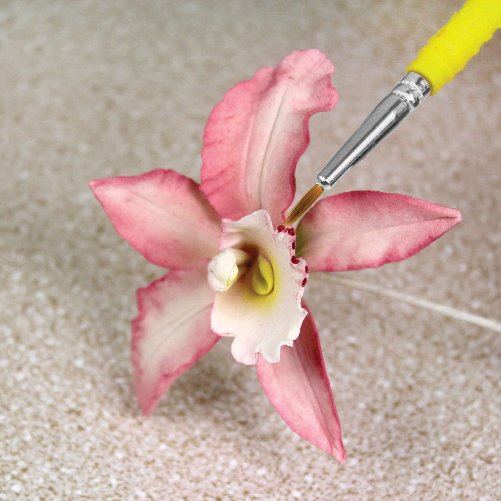 Feine Handwerks-Pinsel Set mit 5 Stück