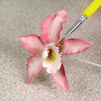 Feine Handwerks-Pinsel Set mit 5 Stück