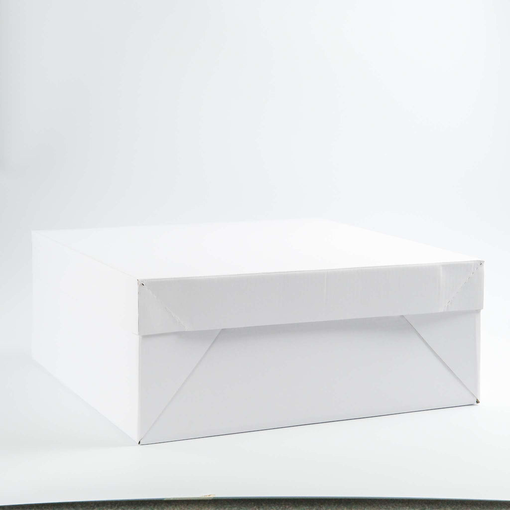 Boîte à gâteau (355 x 355 x 152 / 14 x 14 x 6")