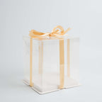 Crystal Cake Box - (150 x 150 x 180mm / 6 x 6 x 7")