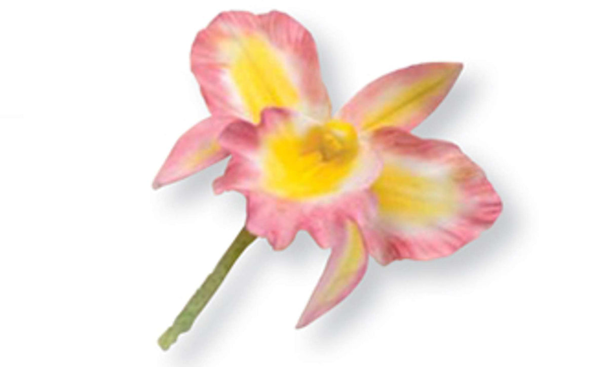 Emporte-pièces en acier inoxydable - Ensemble de 3 Orchidées Cattleya