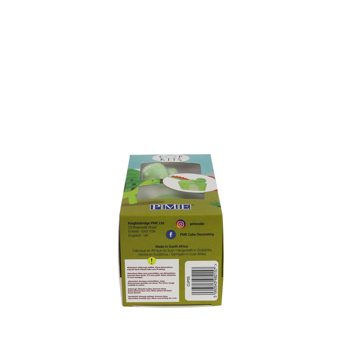 Dinosaur Cup Kits (80g)