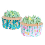 Oster Cupcake-Förmchen Folienbeschichtet - Frühlingswiese (60 Stück)