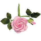 Extra Large Five Petal Cutter (50mm)