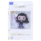 Harry Potter Charakter Kerze, Rubeus Hagrid