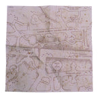 Marauders Map Tulip Shaped Muffin Cases Pk/24