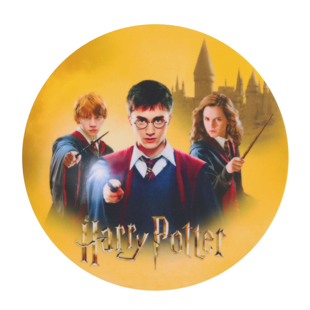Harry Potter Edible Cake Topper  (18g)