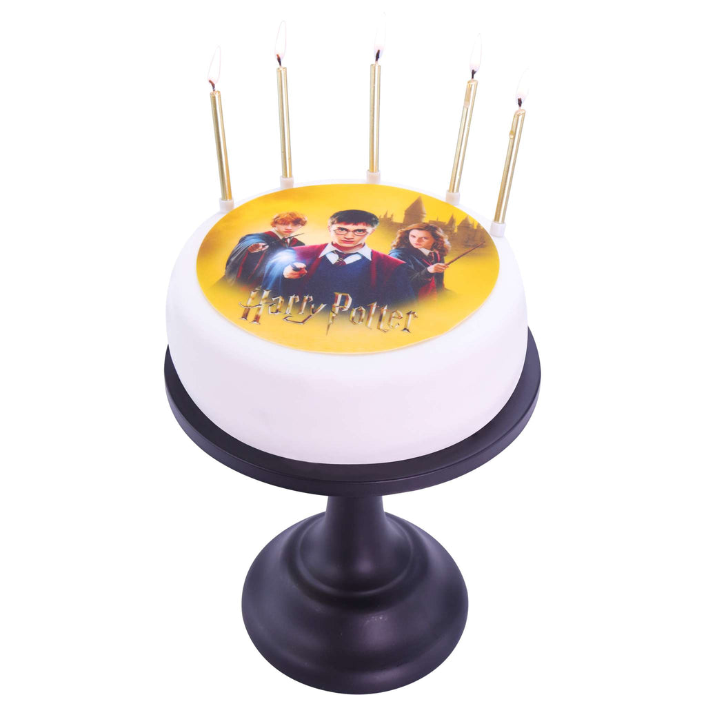 Harry Potter Edible Cake Topper  (18g)