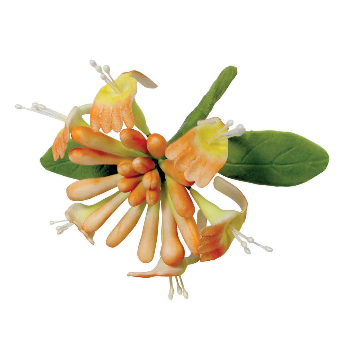 Honeysuckle Fondant Cutters Set Of 4