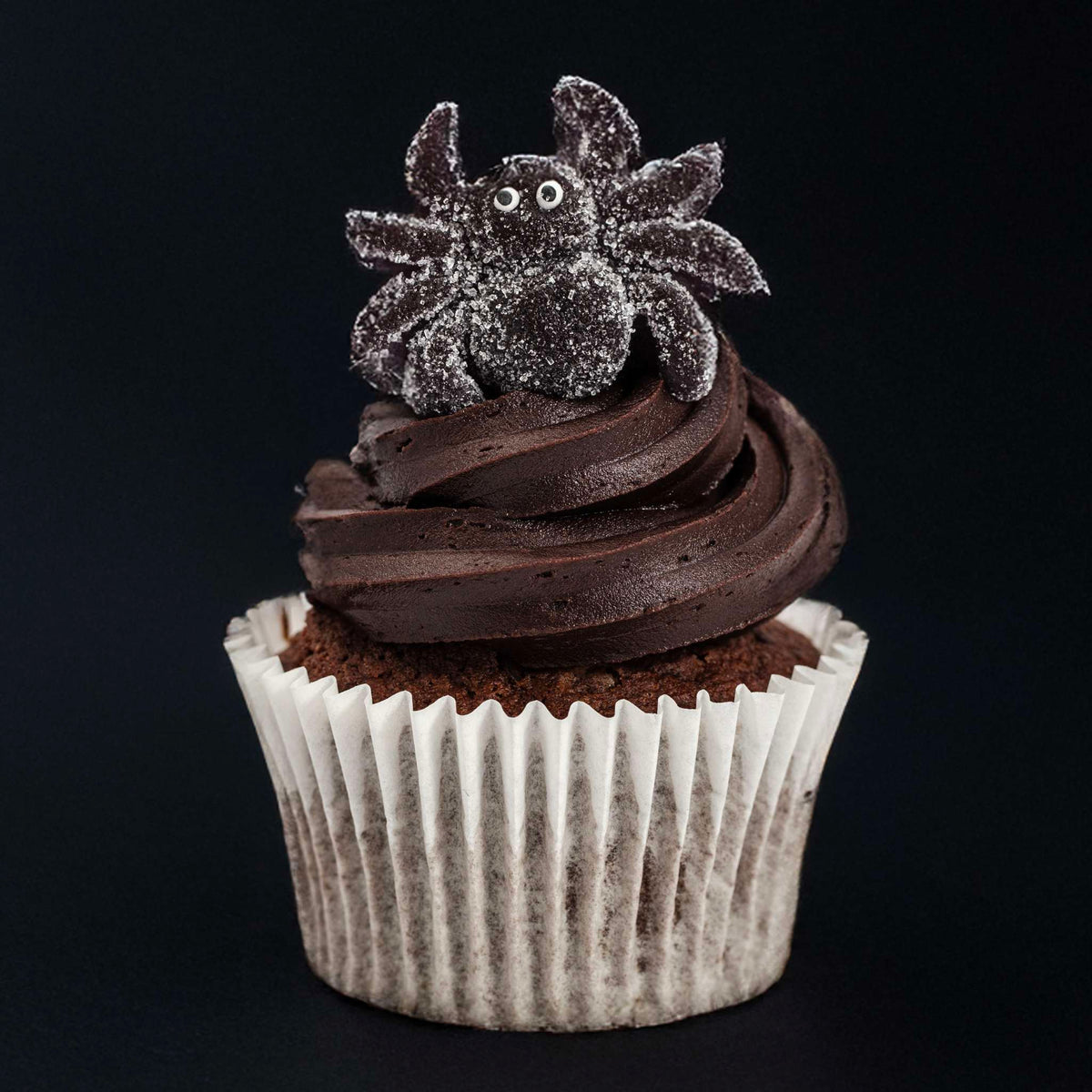 Spider Jelly Sweets (142g / 5oz)