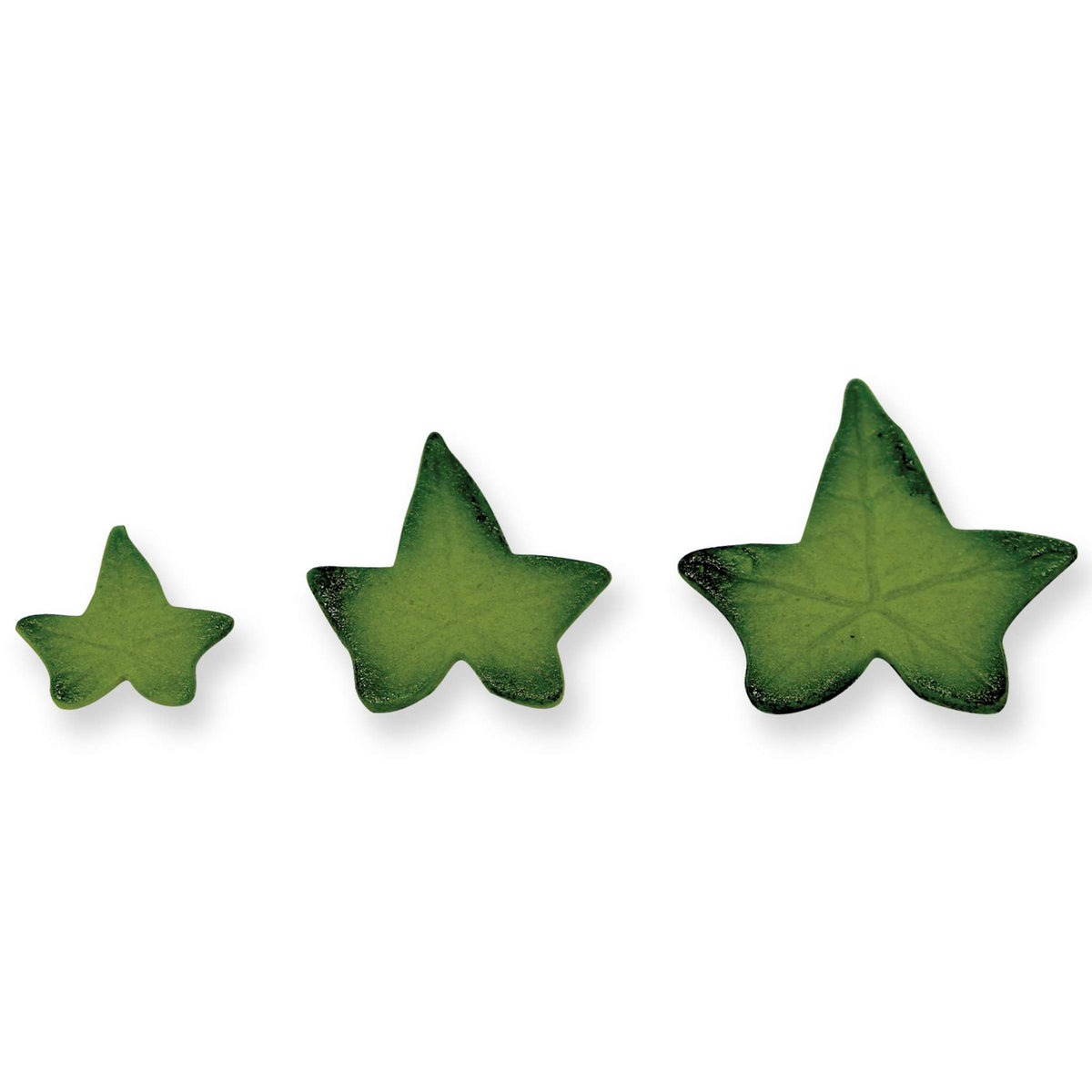 Veined Ivy Leaf Plunger Fondant Cutters Set Of 3
