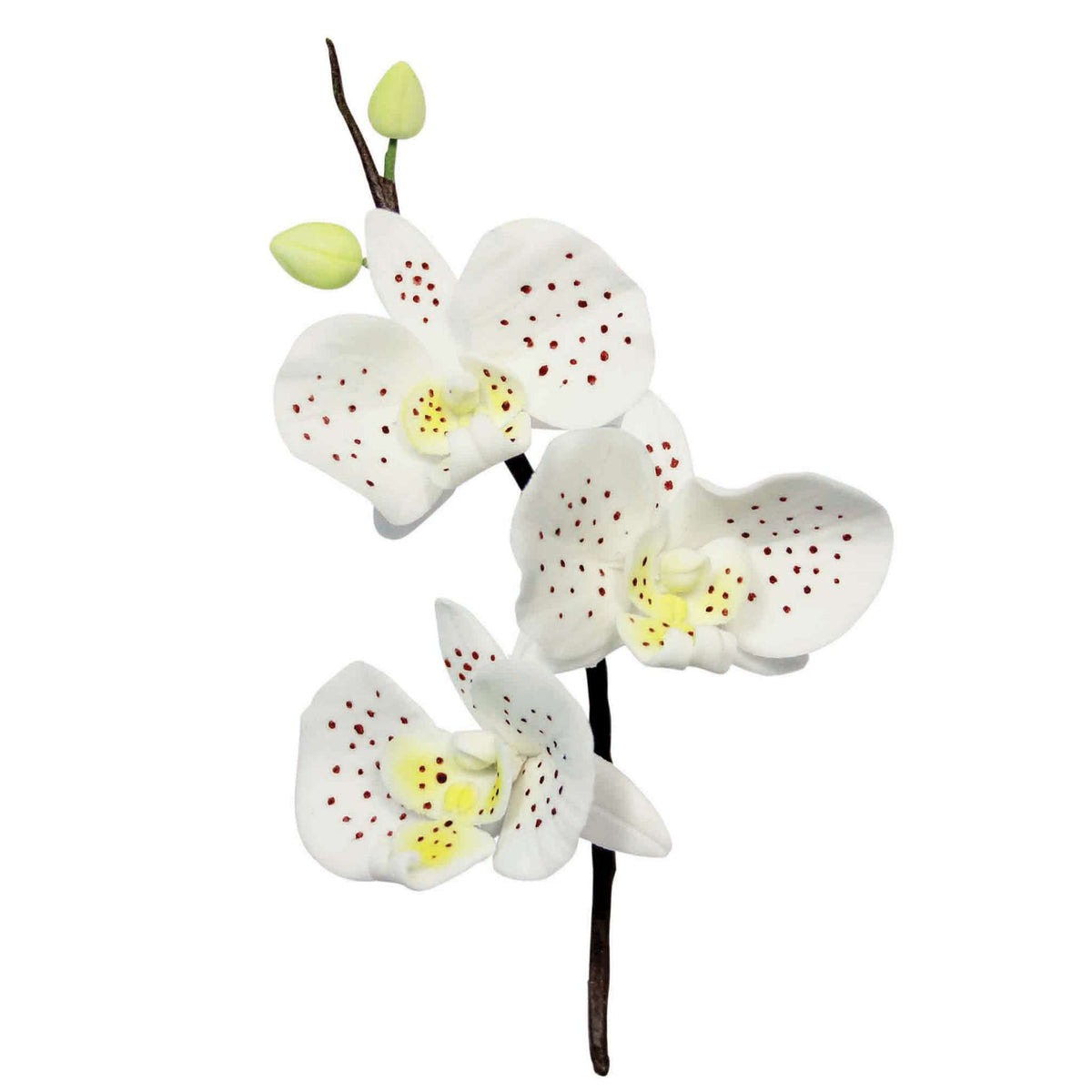 Emporte-pièces à piston Fantaisie - Ensemble de 3 Pétales d'Orchidées