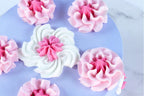 Jem Set de Boquillas - Cupcakes, Pack de 3