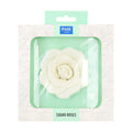White Sugar Rose Pk/1