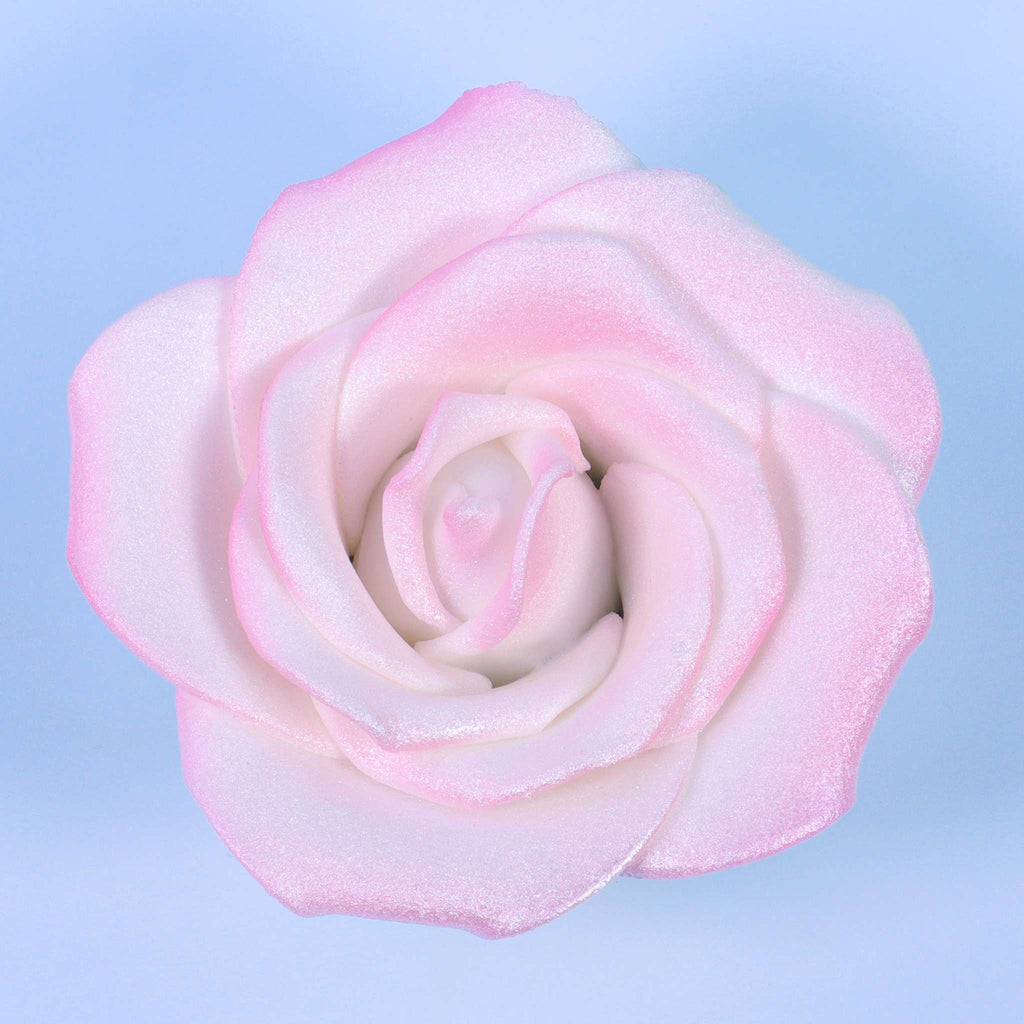 White Sugar Rose Pk/1