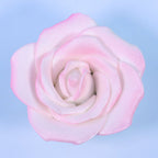 White Sugar Rose Pk/1