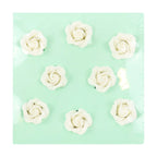 White Sugar Roses Pk/8