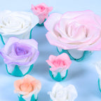 White Sugar Roses Pk/8
