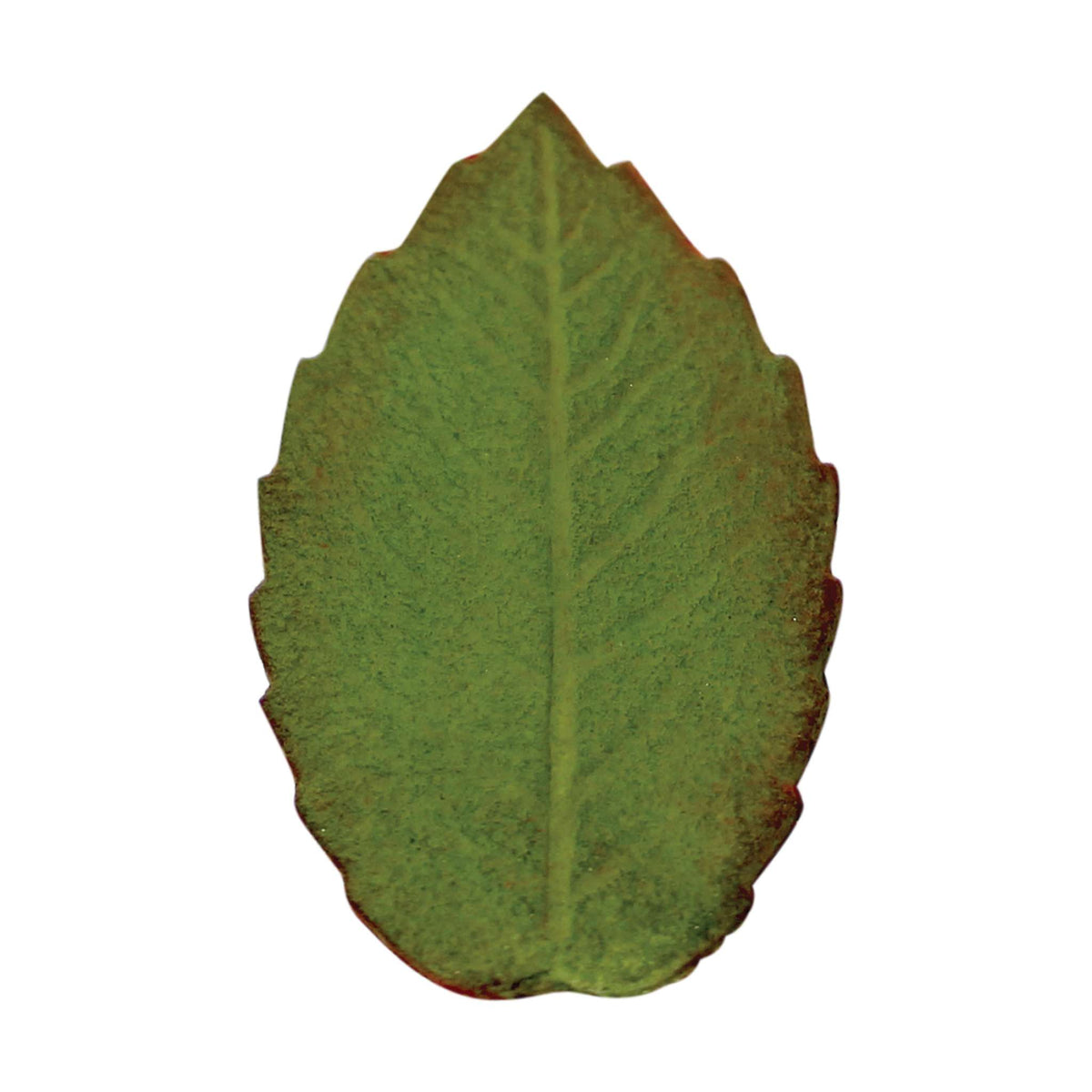 Medium Veined Rose Leaf Plunger Cutter (30mm)