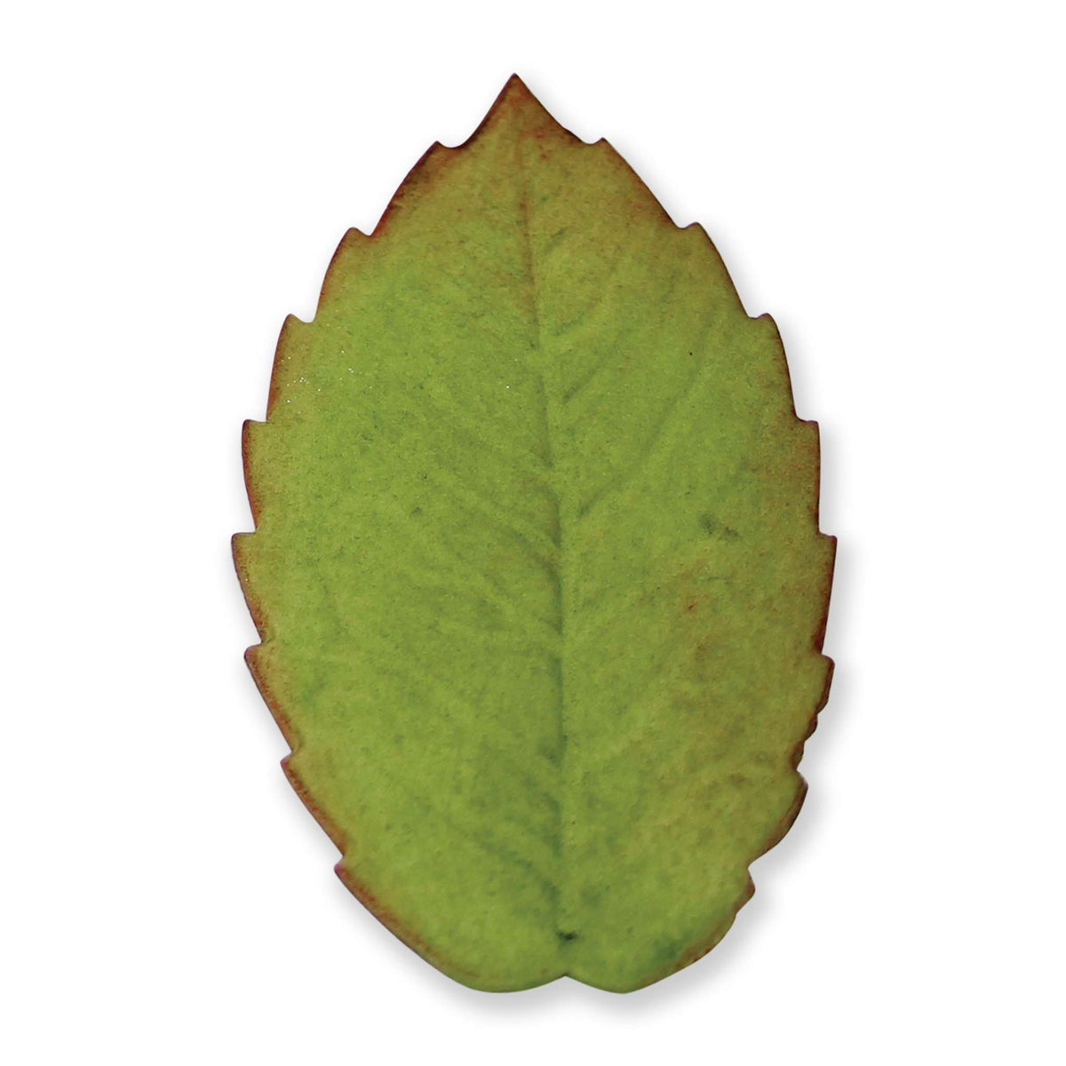 XXX Large Veined Rose Leaf Plunger Fondant Cutter