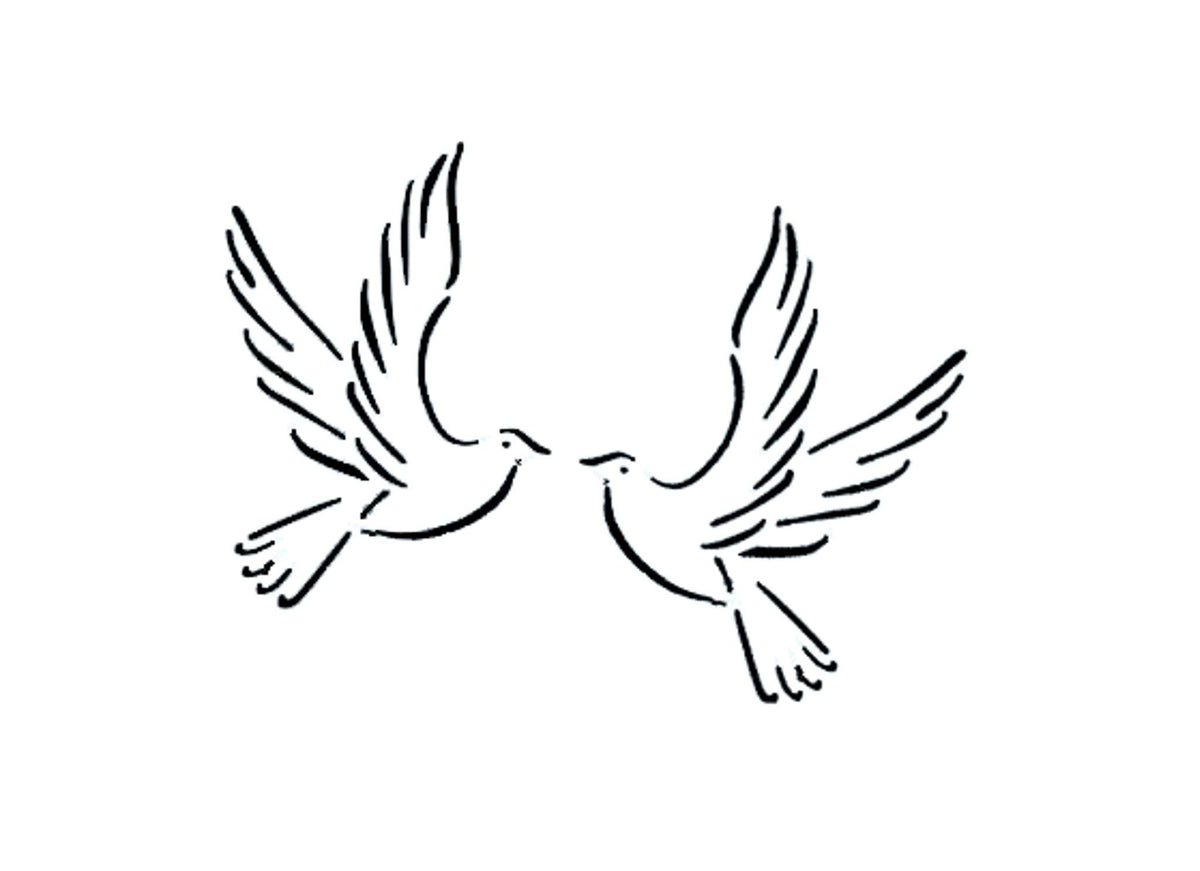Doves In Flight