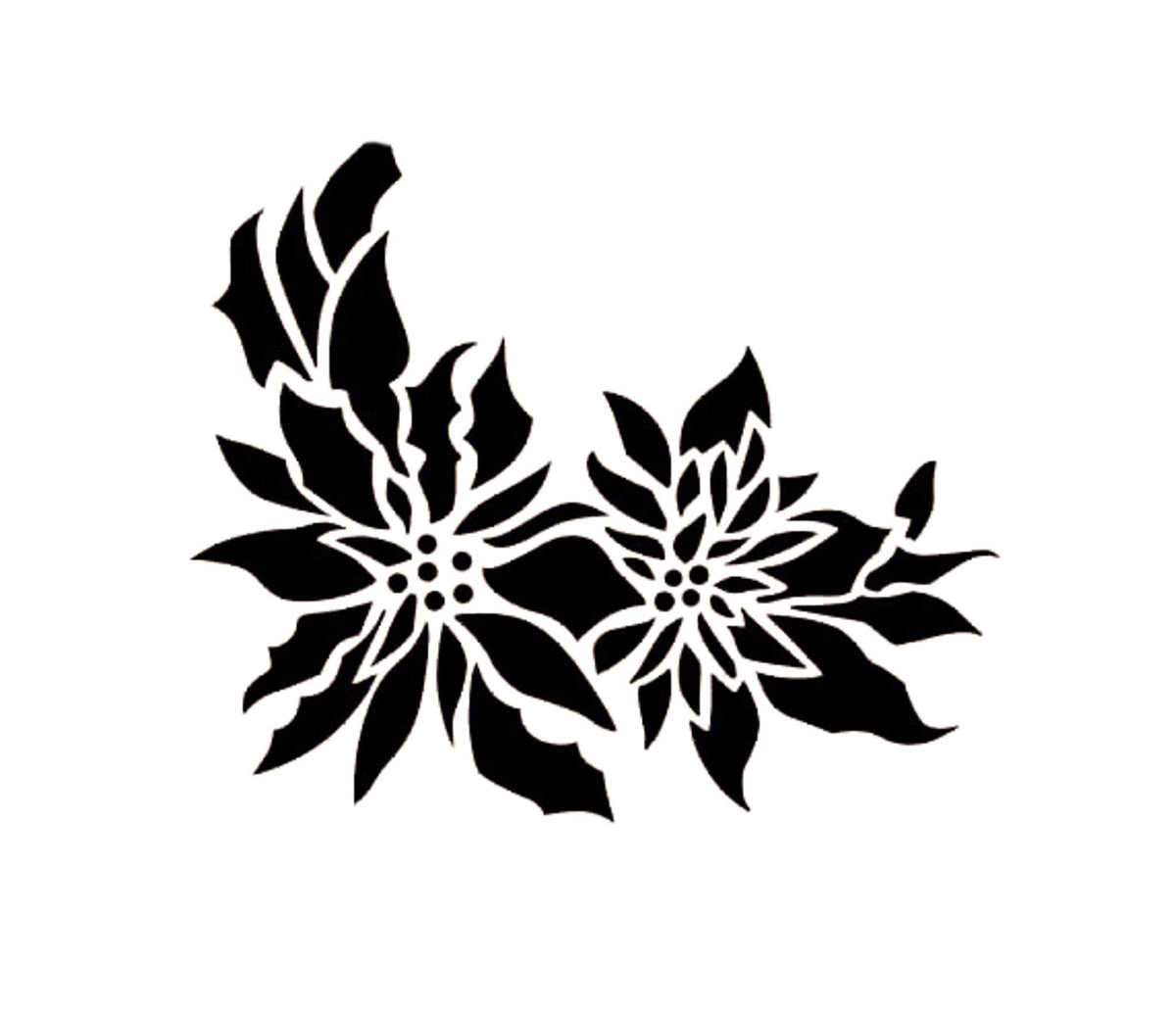 Poinsettia