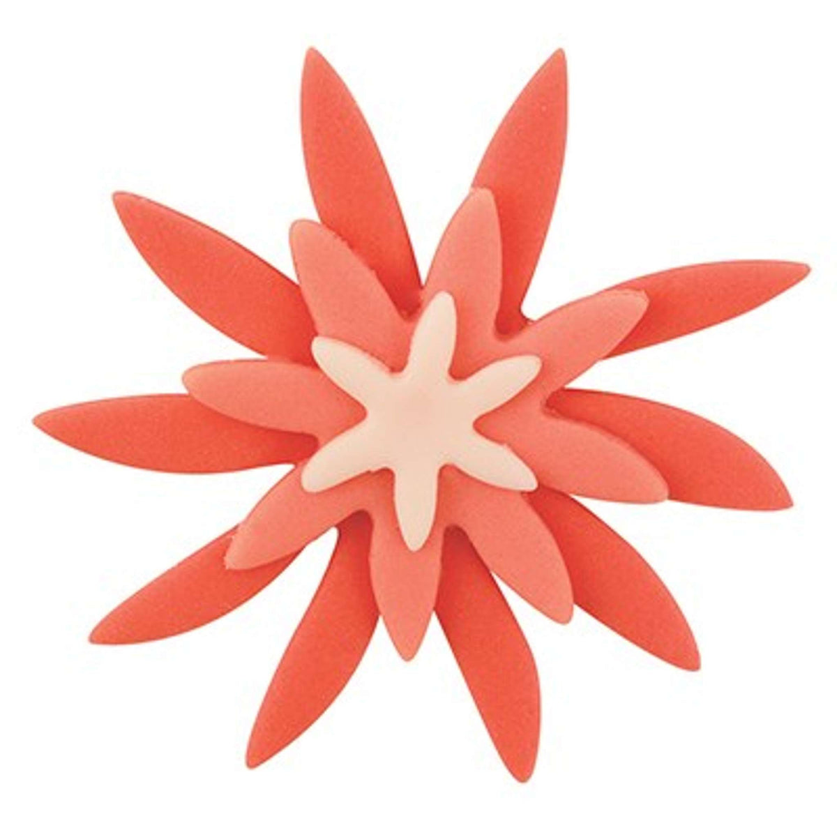 Emporte-pièces en acier inoxydable - Ensemble de 3 Marguerites
