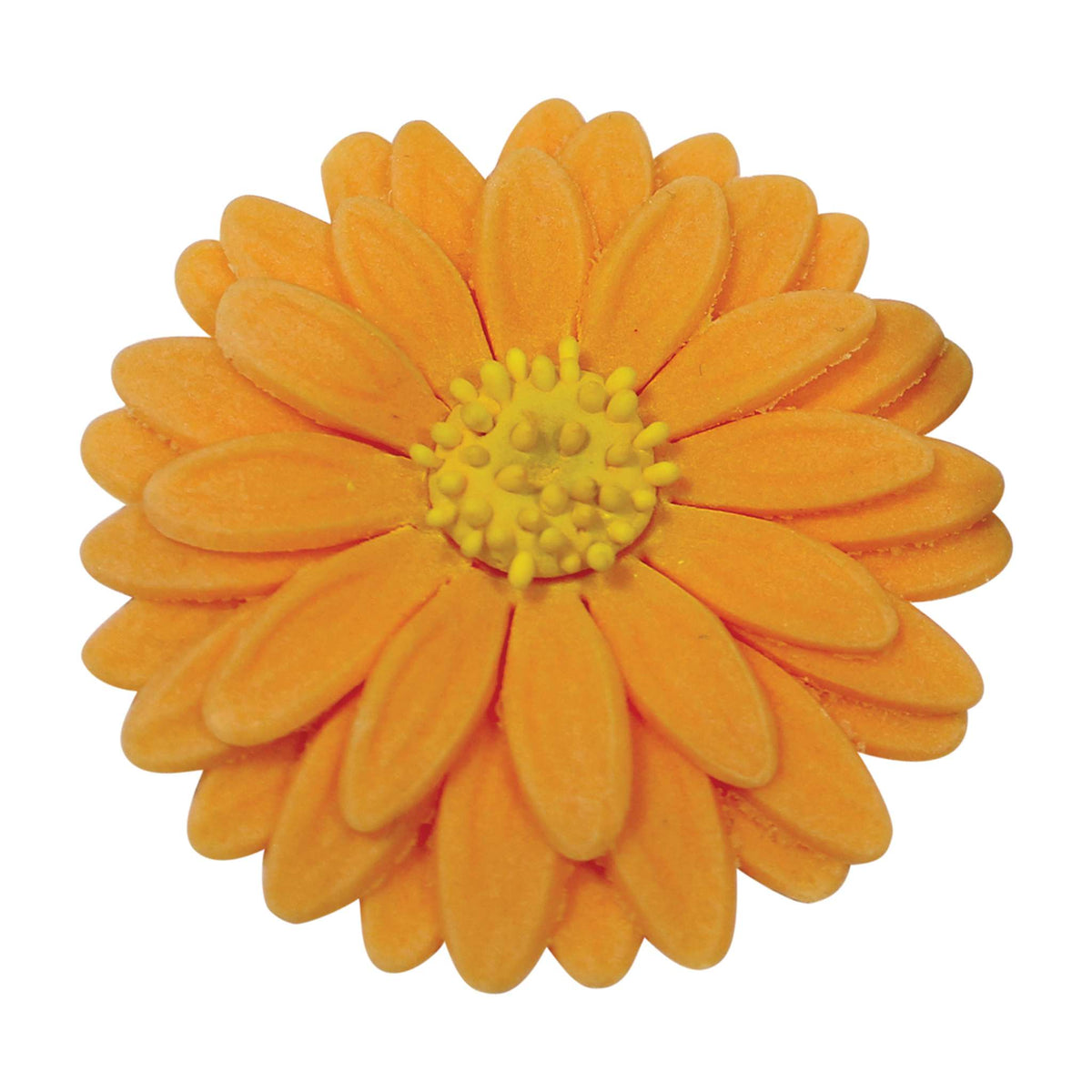 Medium Veined Sunflower Daisy Gerbera Cutter (55mm)