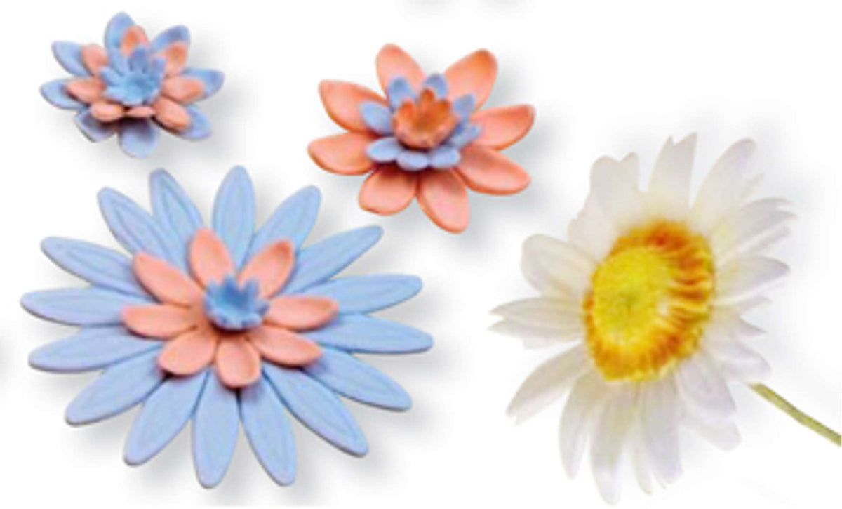 Gerbera Flower Plunger Fondant Cutters Set Of 3
