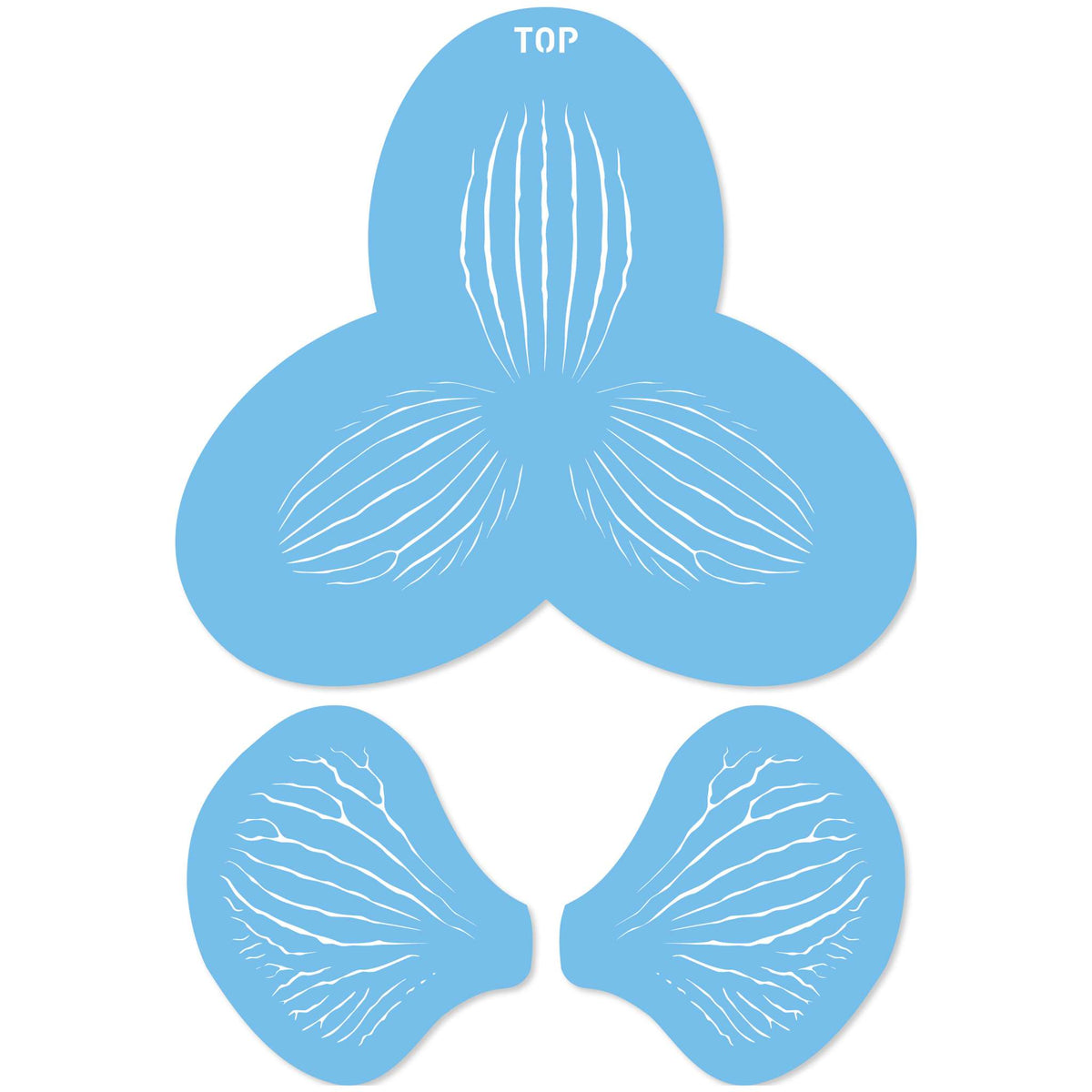 Orchid Stripes Set of 3