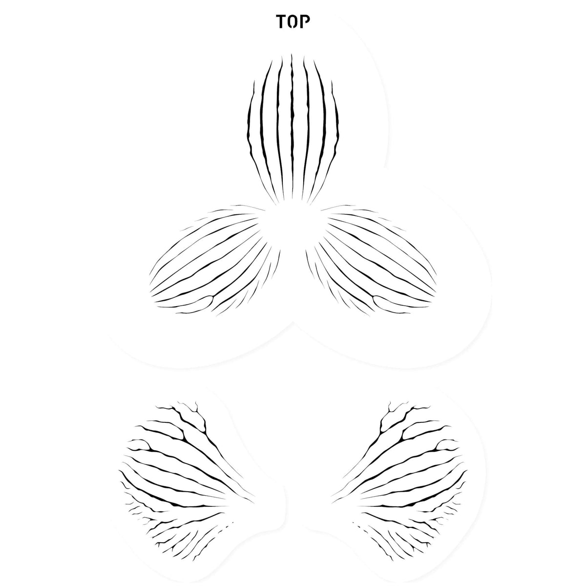 Orchid Stripes Set of 3